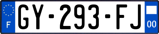 GY-293-FJ