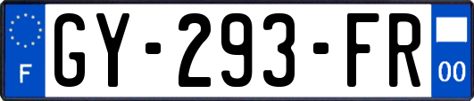 GY-293-FR