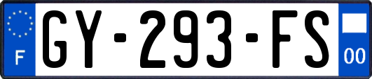 GY-293-FS