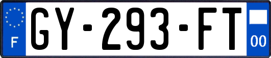 GY-293-FT