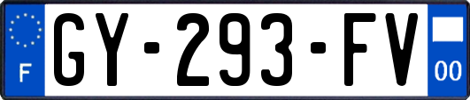 GY-293-FV