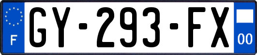 GY-293-FX