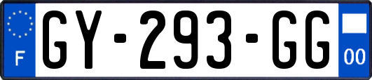 GY-293-GG