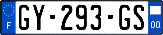 GY-293-GS