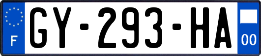 GY-293-HA