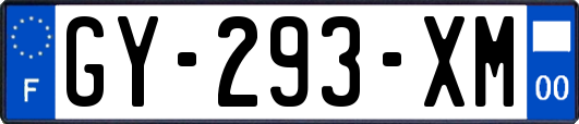 GY-293-XM