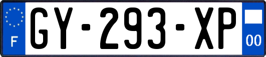 GY-293-XP