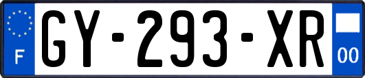 GY-293-XR