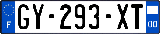 GY-293-XT