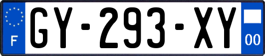 GY-293-XY