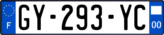 GY-293-YC