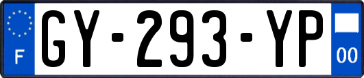 GY-293-YP