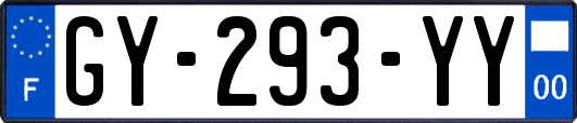 GY-293-YY