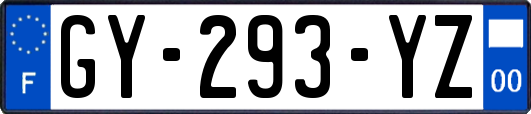 GY-293-YZ