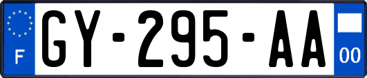 GY-295-AA