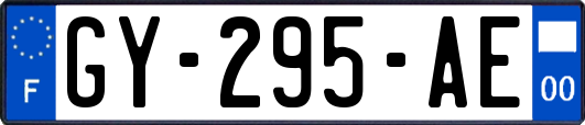 GY-295-AE