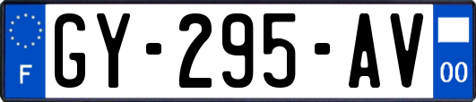 GY-295-AV