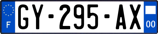 GY-295-AX