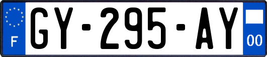 GY-295-AY