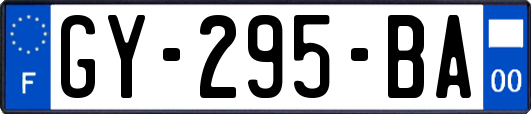 GY-295-BA