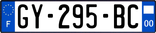 GY-295-BC
