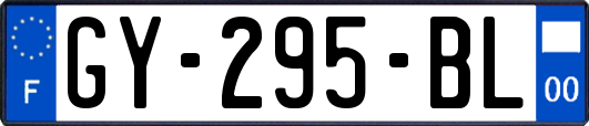 GY-295-BL