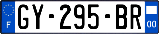 GY-295-BR