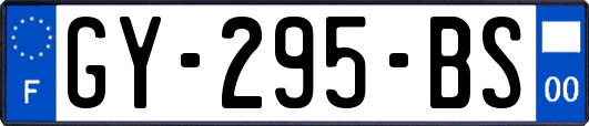 GY-295-BS