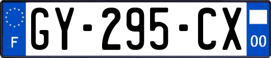 GY-295-CX