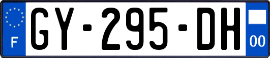 GY-295-DH