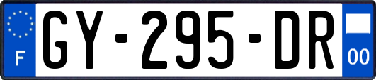 GY-295-DR