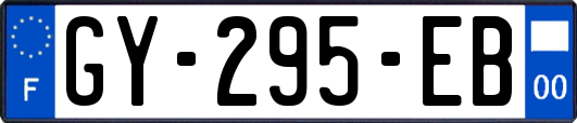 GY-295-EB