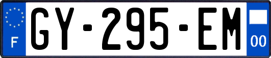 GY-295-EM