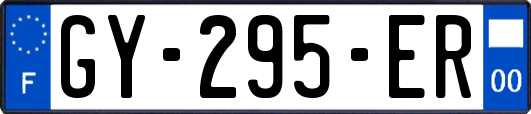 GY-295-ER