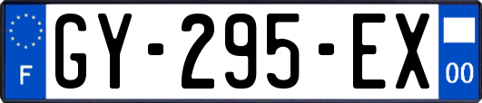 GY-295-EX