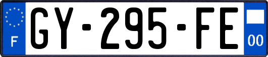 GY-295-FE