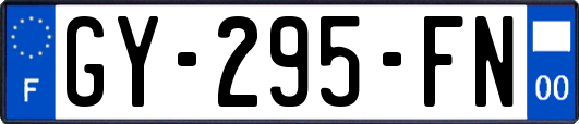 GY-295-FN