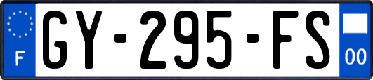 GY-295-FS