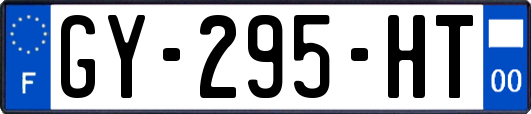 GY-295-HT
