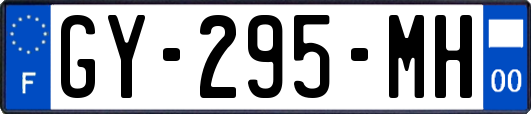 GY-295-MH