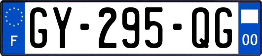 GY-295-QG