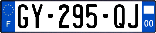 GY-295-QJ