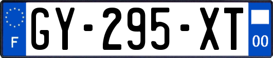 GY-295-XT