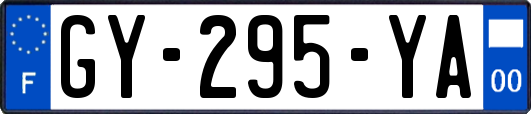 GY-295-YA