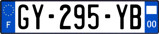 GY-295-YB