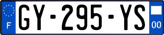 GY-295-YS