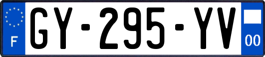 GY-295-YV
