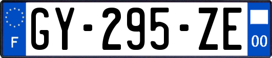 GY-295-ZE