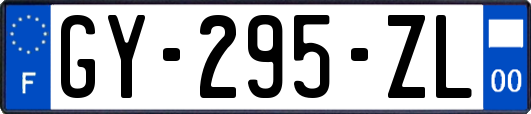 GY-295-ZL