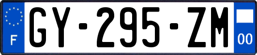 GY-295-ZM